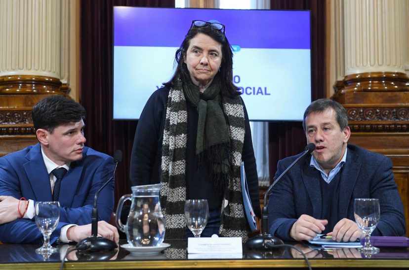 senado kirchnerismo