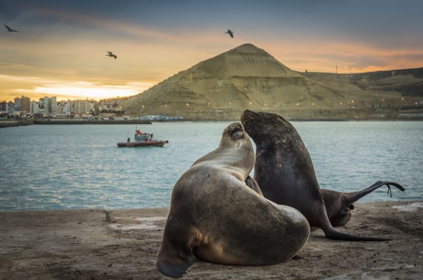 Comodoro Rivadavia