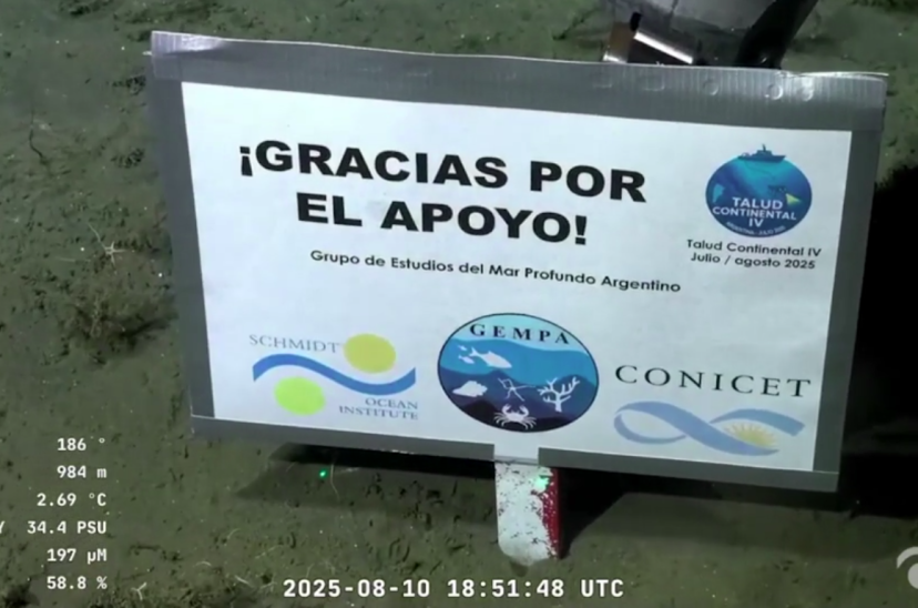 Conicet