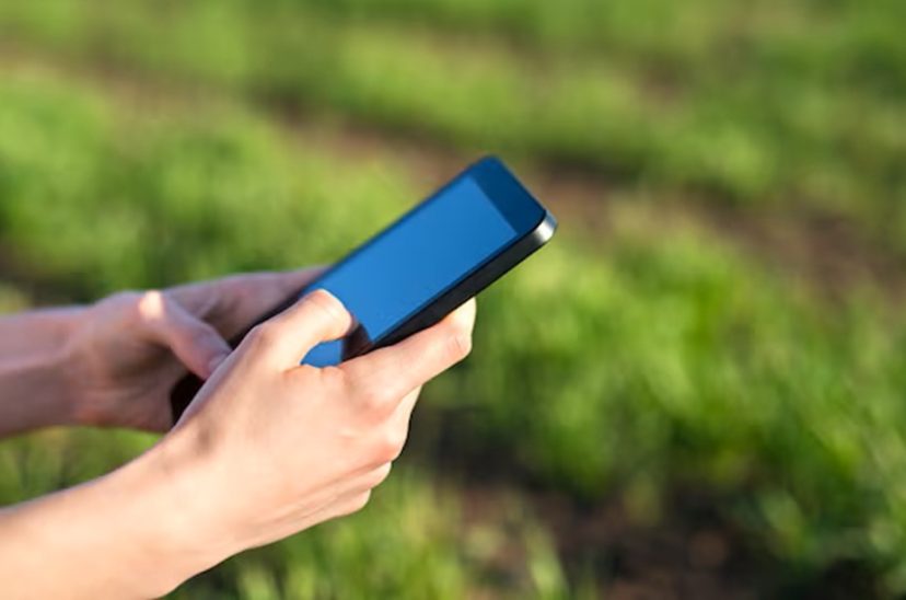 agro financiación negocios nera