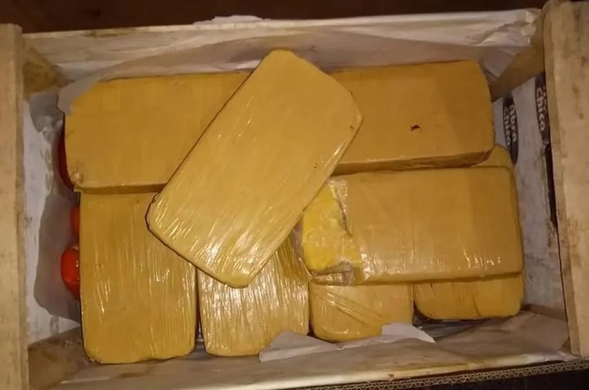 cocaína incautada