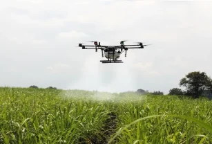 drones