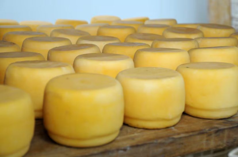 queso criollo listeroris
